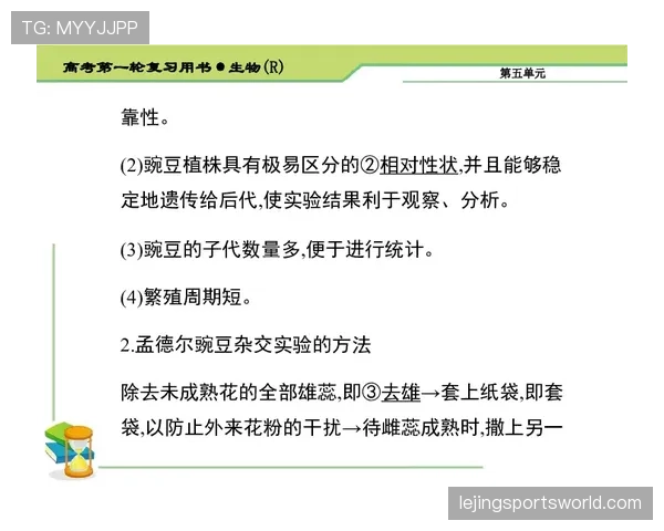垂直起跳规则的基本要点与常见误区解析 垂直起跳规则的基本要点与常见误区解析